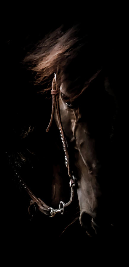 Silhouette Equestrian Photograph by Athena Mckinzie