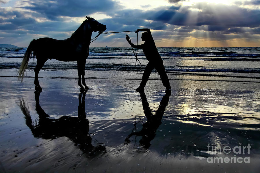 Silhouette of a man and his horse  Photograph by Vladi Alon