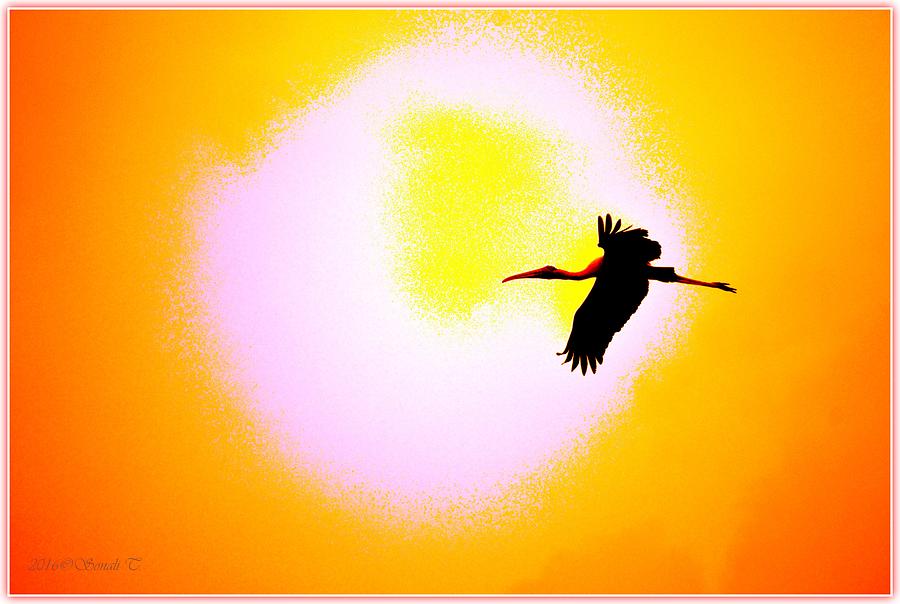 Silhouette of Painted Stork Digital Art by Sonali Gangane