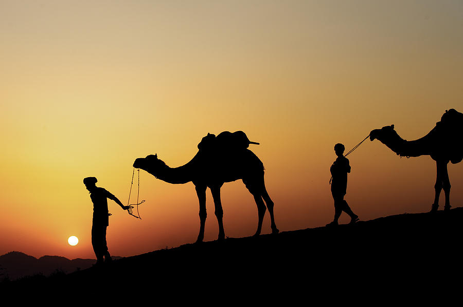 Silhouette Of The Camel Trader. Photograph by Muslianshah Masrie - Fine ...