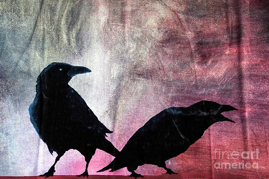 Silhouette Of Two Crows  Photograph by Vladi Alon