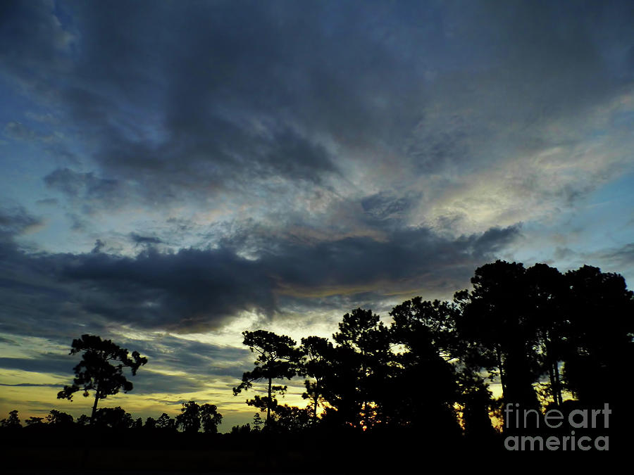 Nature Photograph - Silhouette Sunrise by D Hackett