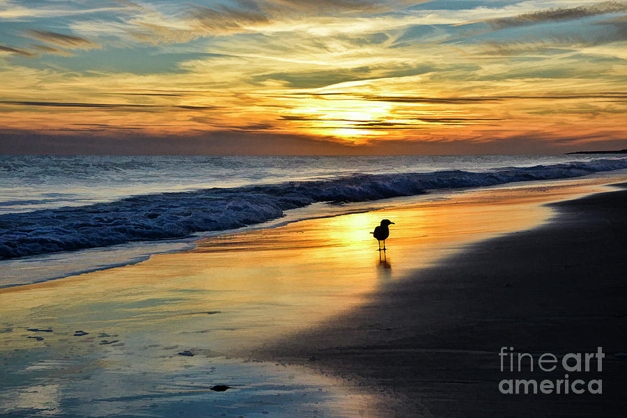 Silhouette Sunset Cape May Digital Art by Diane LaPreta