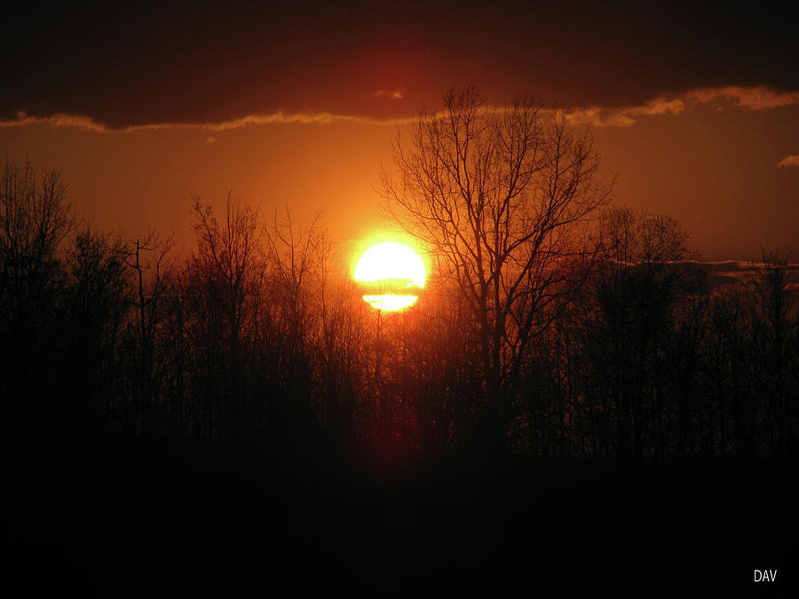 Silhouette Sunset Photograph by Debra     Vatalaro
