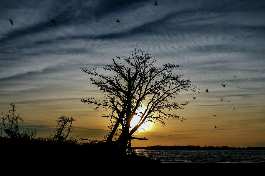 Nature Photograph - Silhouette Sunset by Doug Long