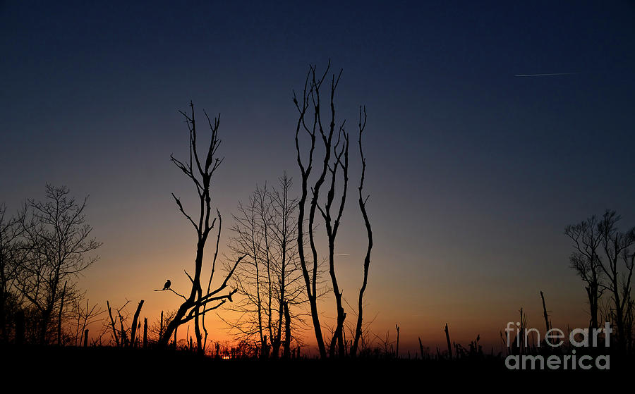 Silhouette Sunset Photograph By John Steiger Fine Art America