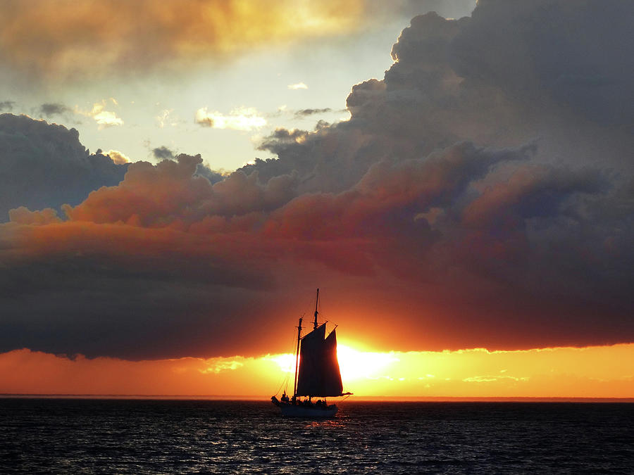 Silhouette Sunset Sail Photograph by David T Wilkinson