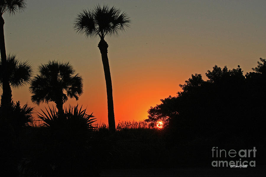 Silhouette Sunset Photograph by Terri Mills