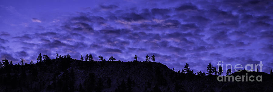 Silhouette Tree Ridge Photograph by Timothy Hacker