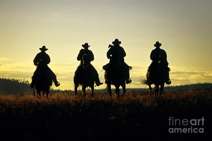 Silhouetted Cowboys Photograph by Inga Spence
