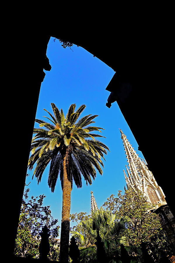 Silhouetted Palm Tree And Church Spire In Barcelona Photograph by Rick Rosenshein