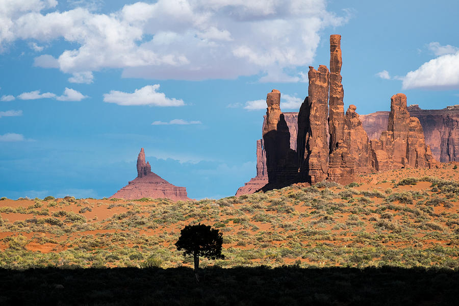 Silhouetted Tree at Monument Valley Photograph by Mary Lee Dereske