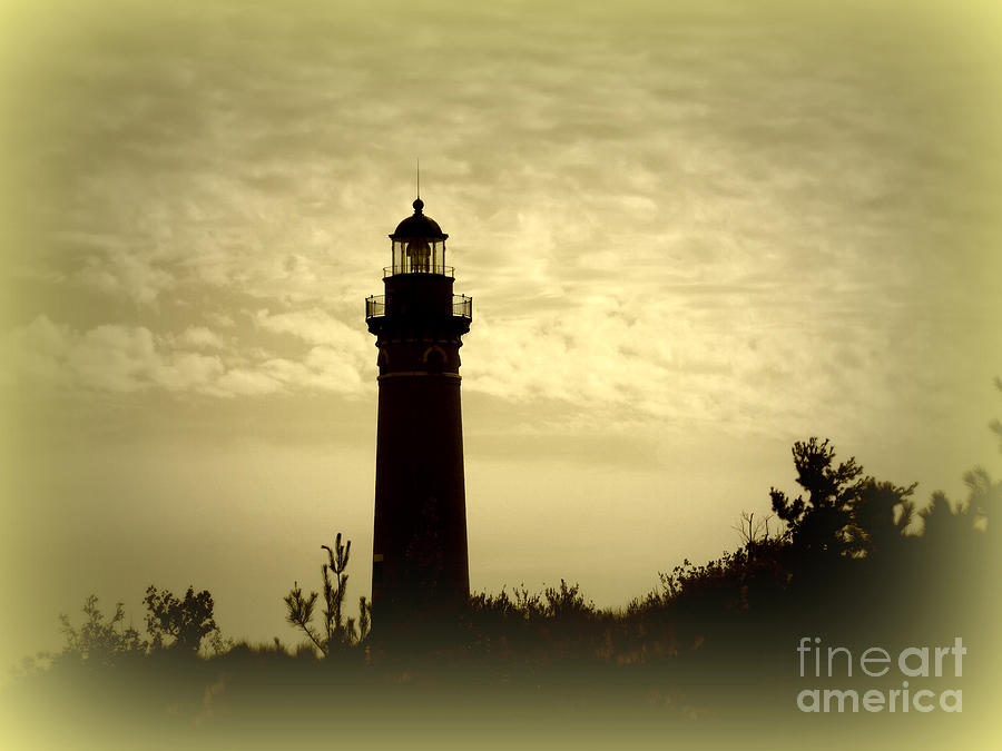 Silhouettes and Shadows Photograph by Scott Ward | Fine Art America