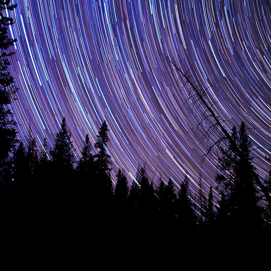 Silhouettes and Stars Photograph by Spencer Bawden - Fine Art America