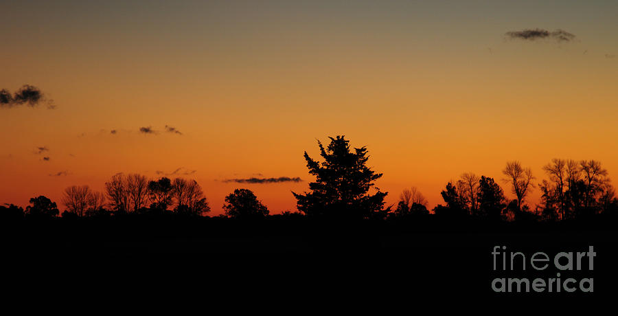 Silhouettes At Dawn Photograph