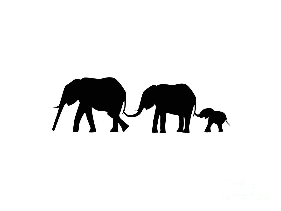 Download Silhouettes of 3 Elephants Holding Tails Digital Art by ...