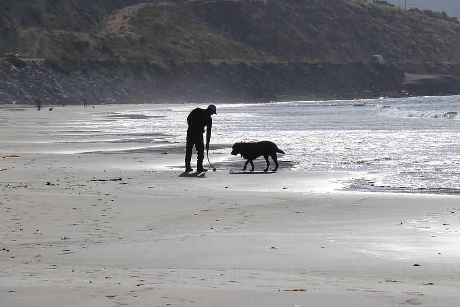 Silhouette of a Man and his Dog at the Beach Photograph by Jan Moore