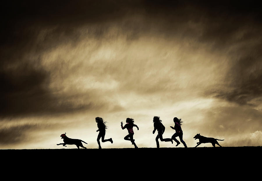 Dog Photograph - Silhouettes of running Girls and Dogs  by Maggie Mccall