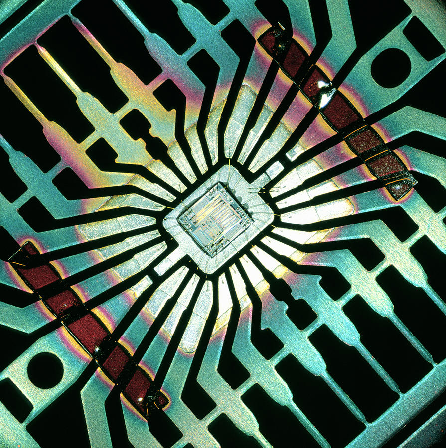 Technology Photograph - Silicon Chip by Pasieka