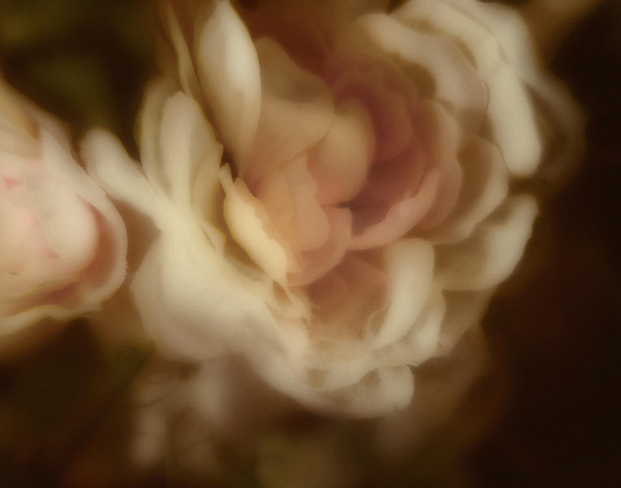 Silk Bouquet Photograph by Ann Powell
