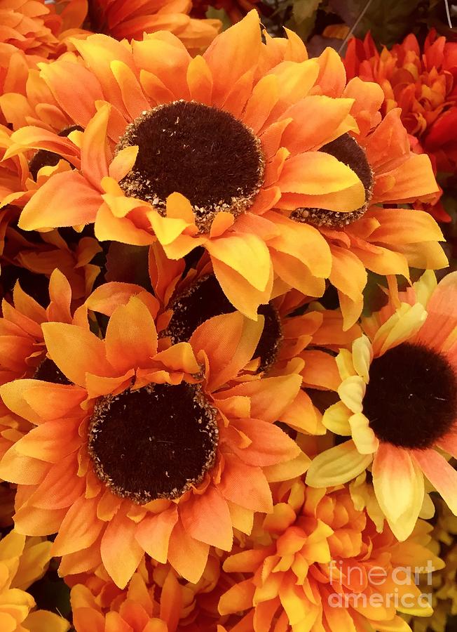 Silk Flowers Photograph by Mesa Teresita Fine Art America