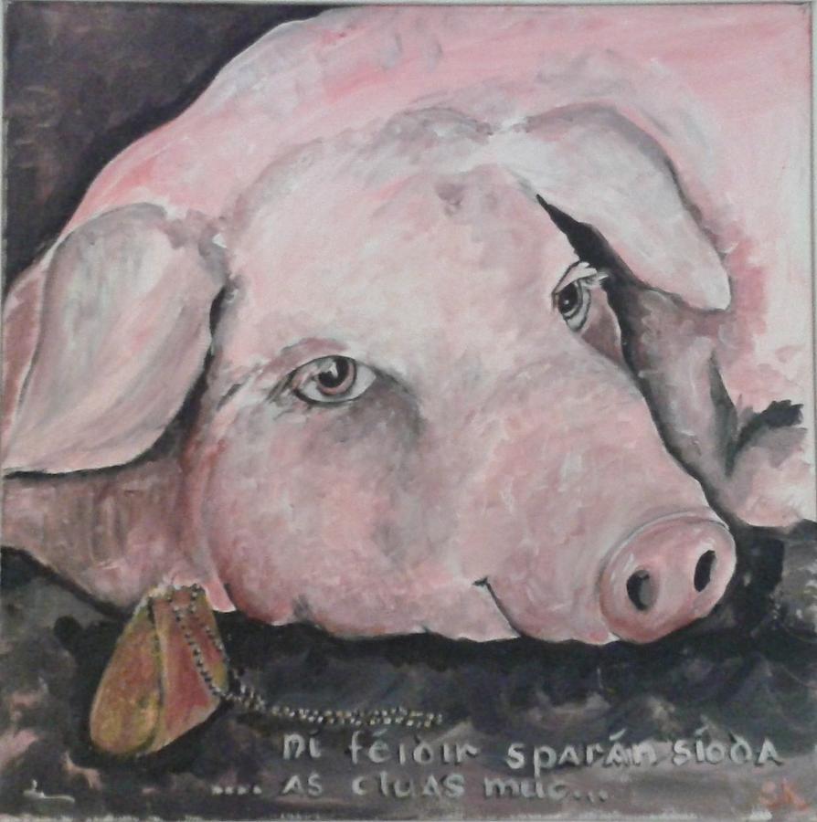 silk purse sow's ear