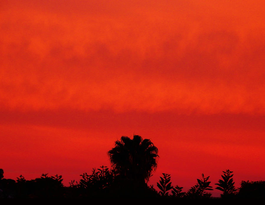 Silk Sunset Photograph by Mark Blauhoefer