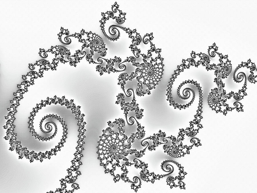 3d Mandelbrot Digital Art - Silken Dragon Abstract Black and White by Georgiana Romanovna