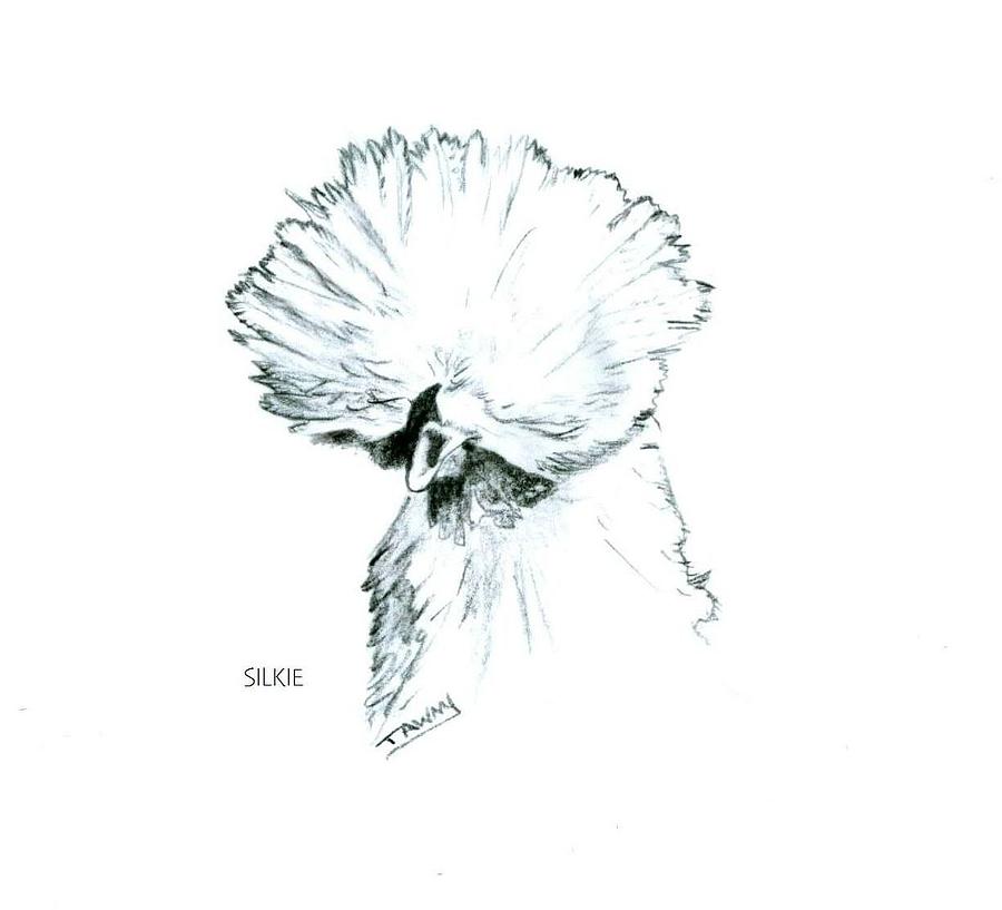 Silkie Hen Drawing by Susan Baker