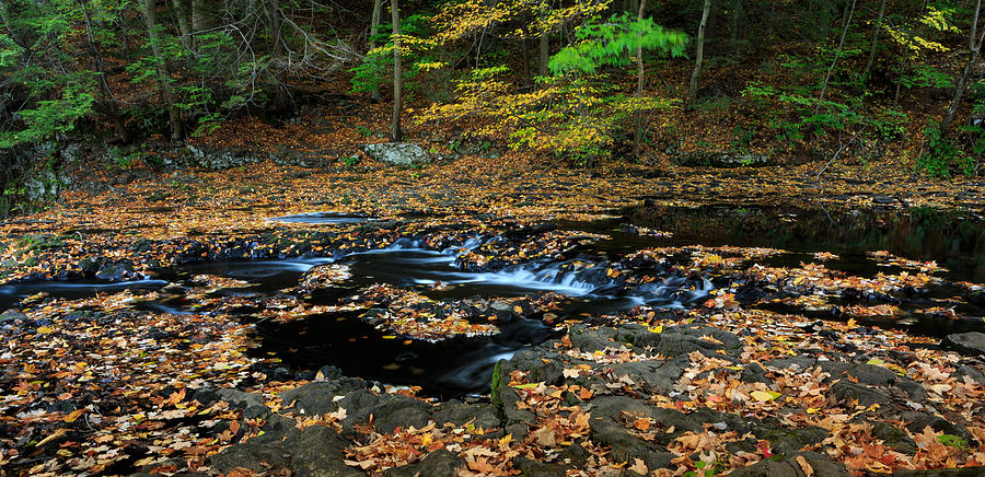 Silky New England Stream in Autum Photograph by Kyle Lee