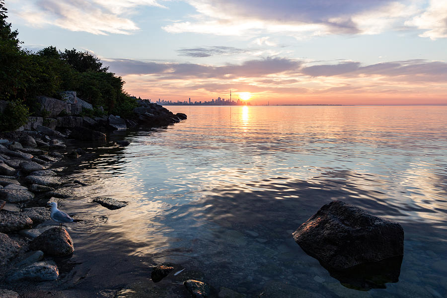 Silky Smooth and Transparent - Toronto Sunrise on the Lake Photograph by Georgia Mizuleva