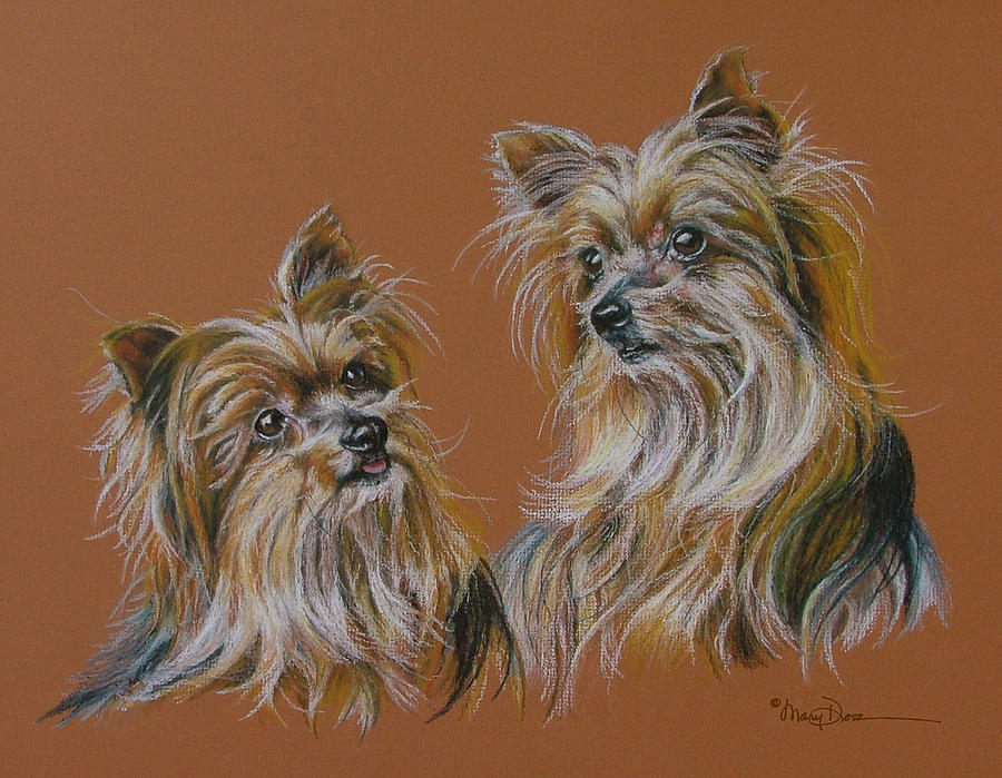 Silky Terrier Sisters Pastel by Mary Dove