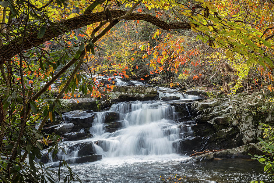 Silky Water Embraced with Fall Color Photograph by Debra and Dave Vanderlaan
