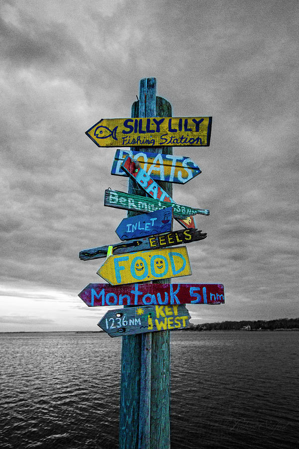 Lily Photograph - Silly Lily Fishing Station Sign by Robert Seifert