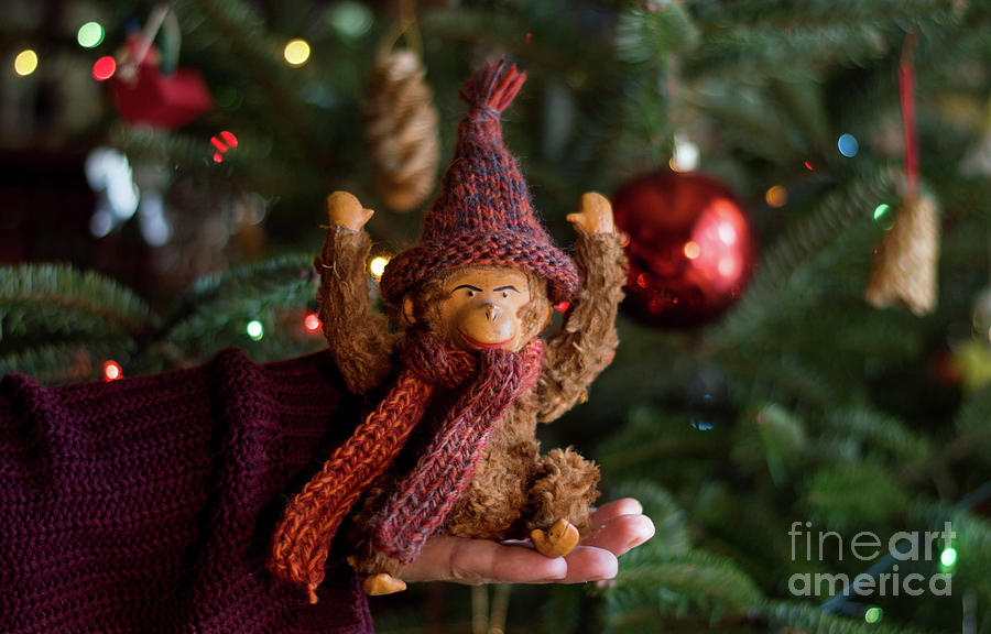 Christmas Photograph - Silly old monkey toy in a child hands under the christmas tree by Andrea Varga