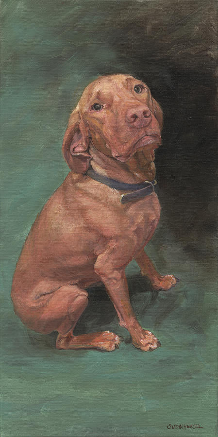 Silly Vizsla Painting by Susan Hensel