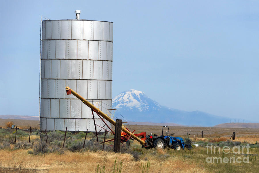 Silo and Mount Hood, Oregon Photograph by Catherine Sherman