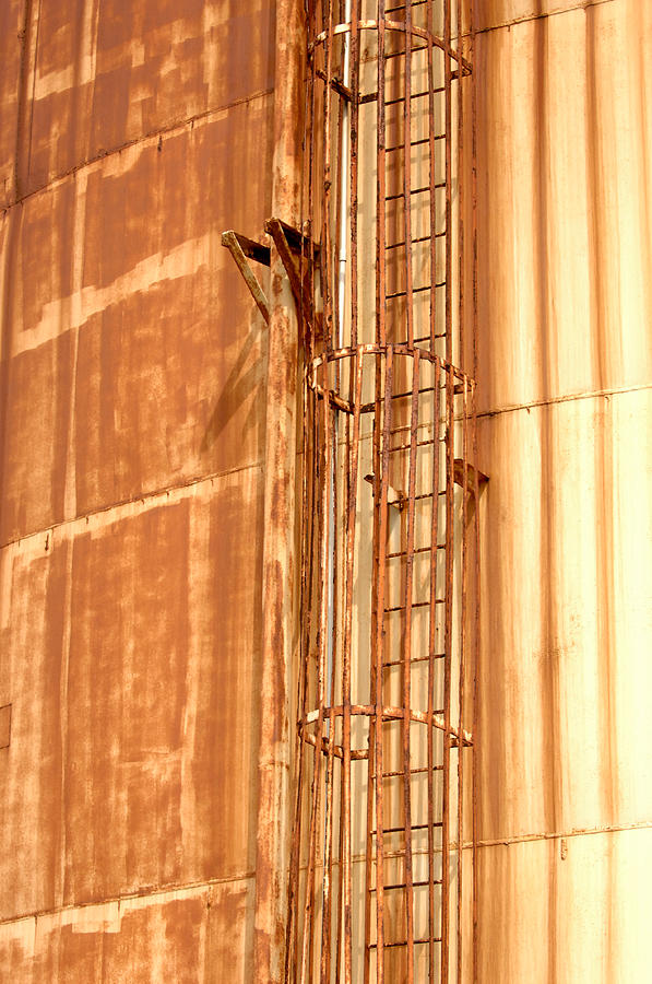 Silo Ladder Photograph by Jill Reger