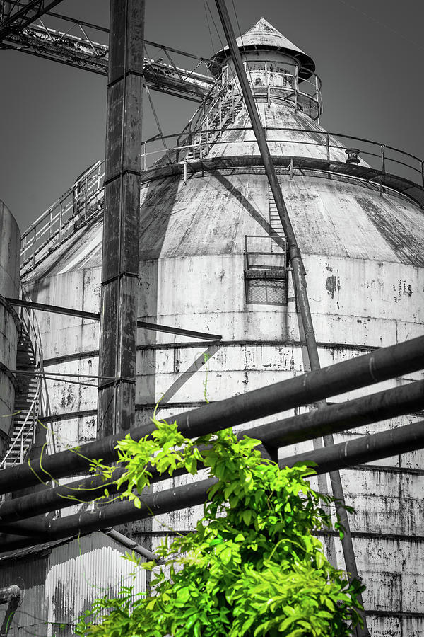 Silos and VInes Photograph by Aaron Geraud