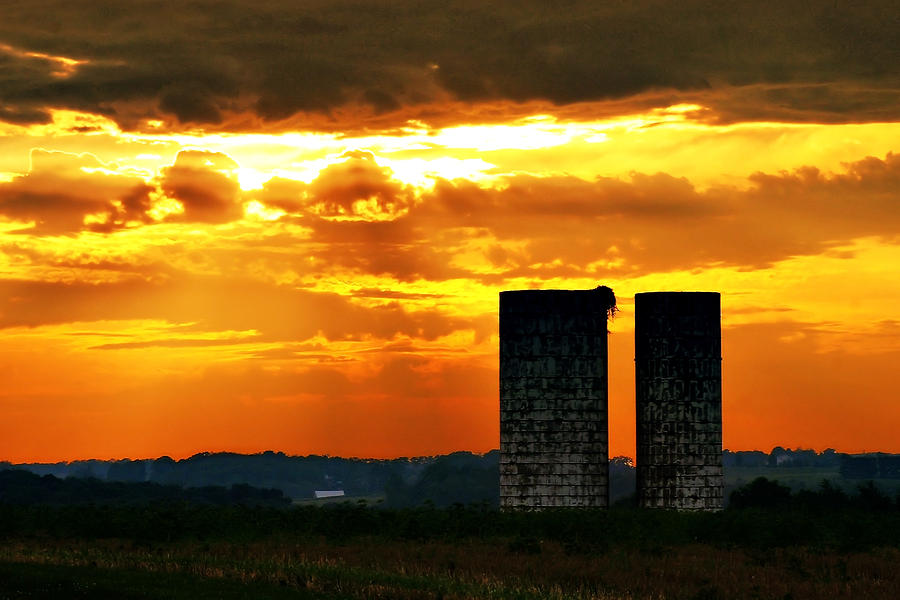 Silos at Sunset Photograph by Michelle Joseph-Long