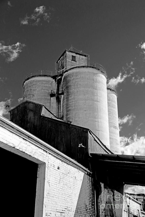 Silos in Black and White Photograph by Nareeta Martin - Fine Art America