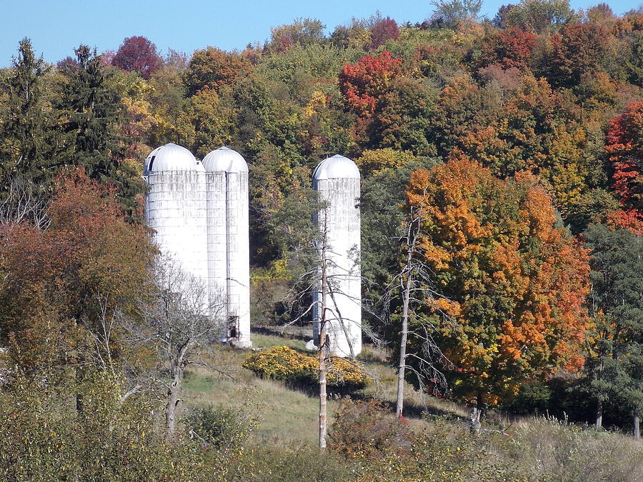 Silos in the Woods 1 Photograph by Nina Kindred