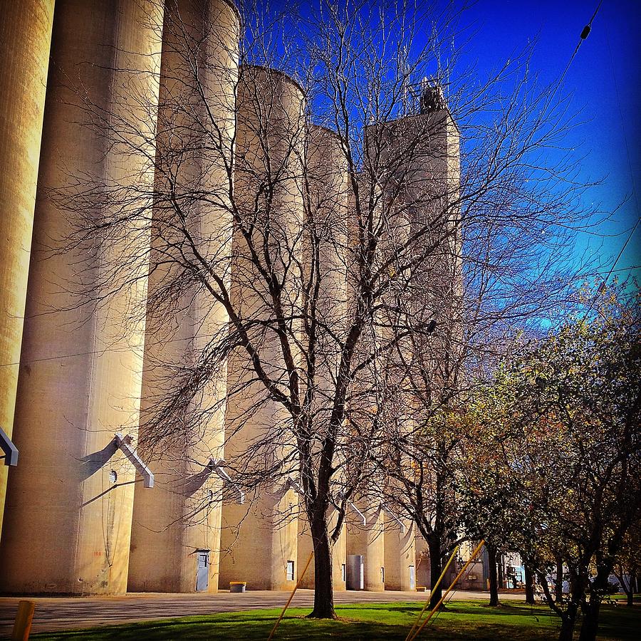 Silos Towering from Wright Street Photograph by Chris Brown