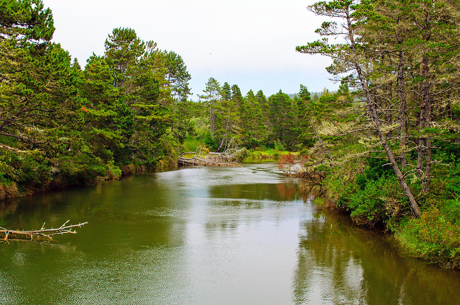 Siltcoos River Photograph by Tikvahs Hope