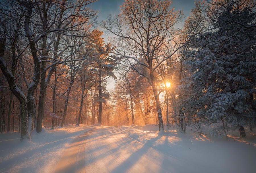 Silver and Gold Photograph by Kim Carpentier - Fine Art America