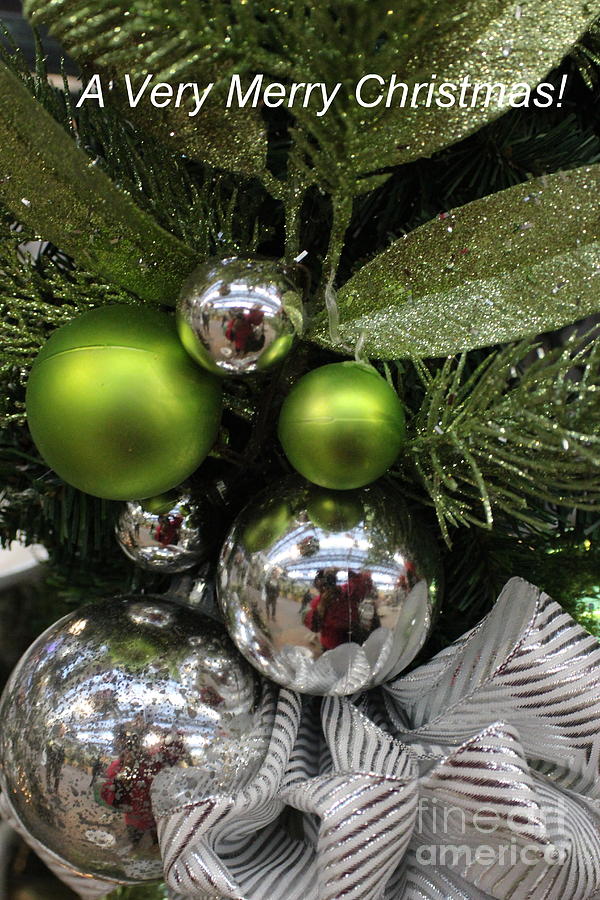 Silver and Green for Christmas Photograph by Dora Sofia Caputo