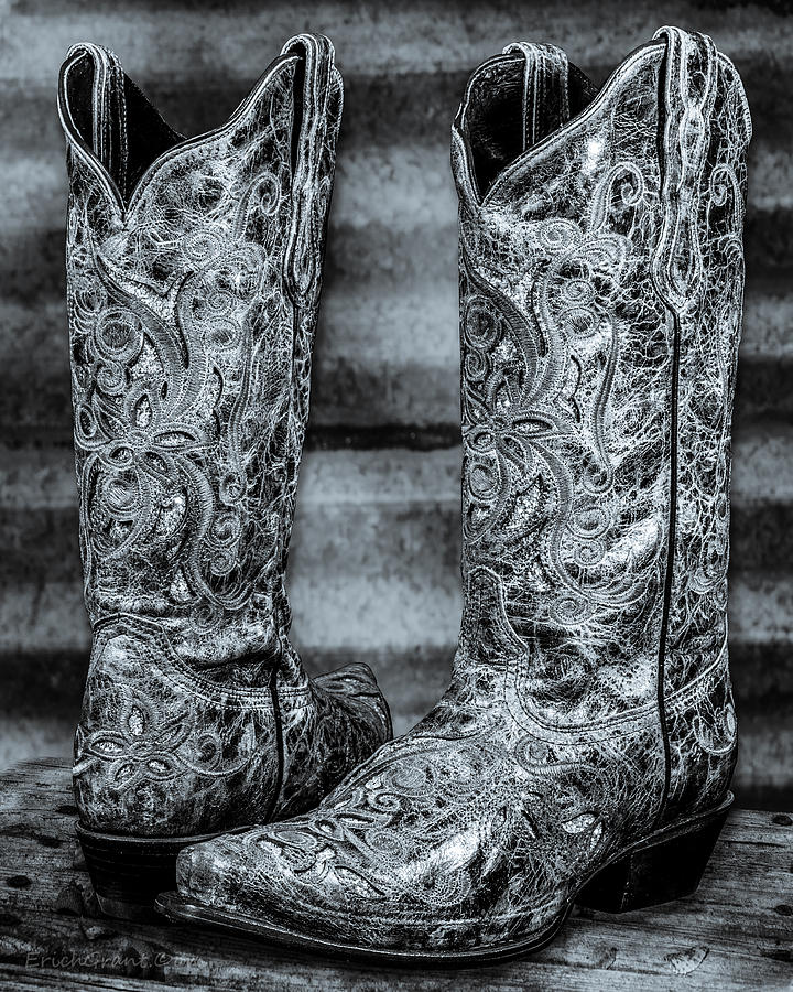 Silver Boot Photograph by Erich Grant