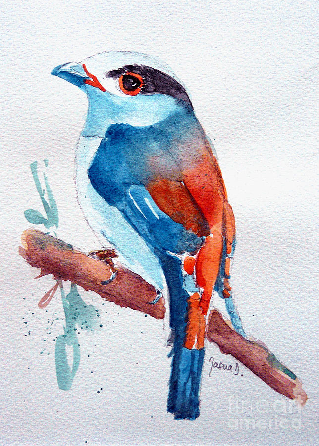 Silver Breasted Broadbill  Painting by Jasna Dragun