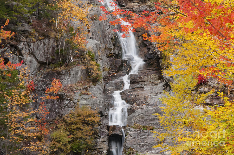 Silver Cascades and Fall Colors Photograph by Bob Phillips