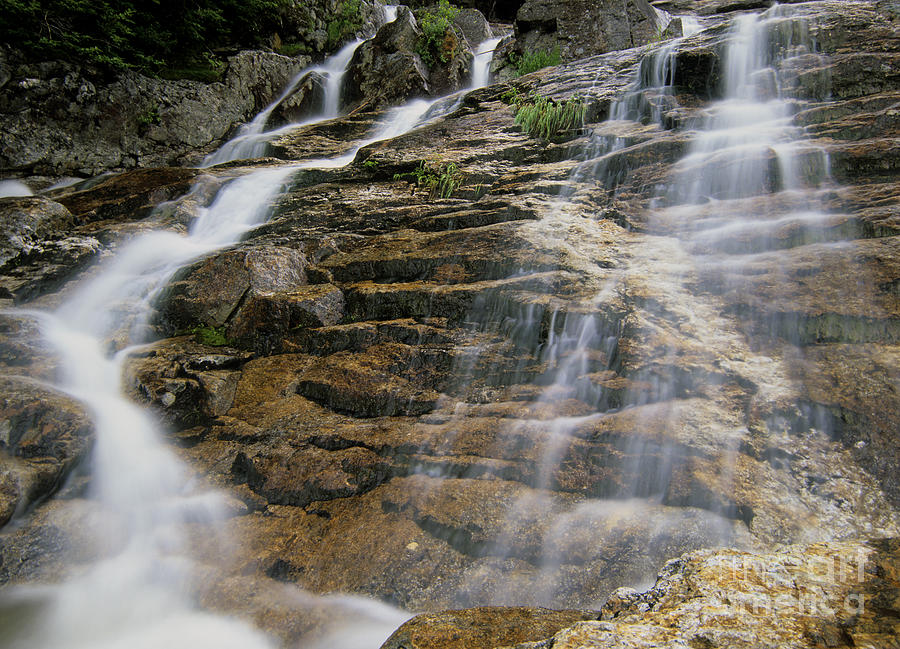 Waterfall Photograph - Silver Cascades - Crawford Notch New Hampshire by Erin Paul Donovan